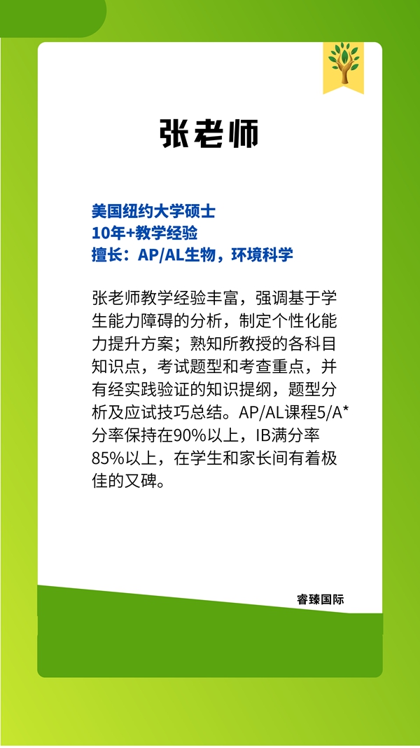 张老师